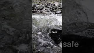 Nervous System Reset | Somatic Affirmation, Heal your Body and Mind