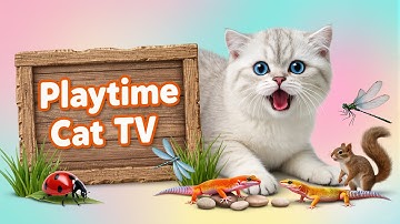Playtime Cat TV – Cat Games for Lazy Cats to Get Moving DAY 9