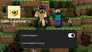 How to play with your friends in Zelith Launcher 2