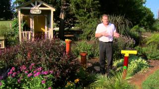 Gardening Tips for October