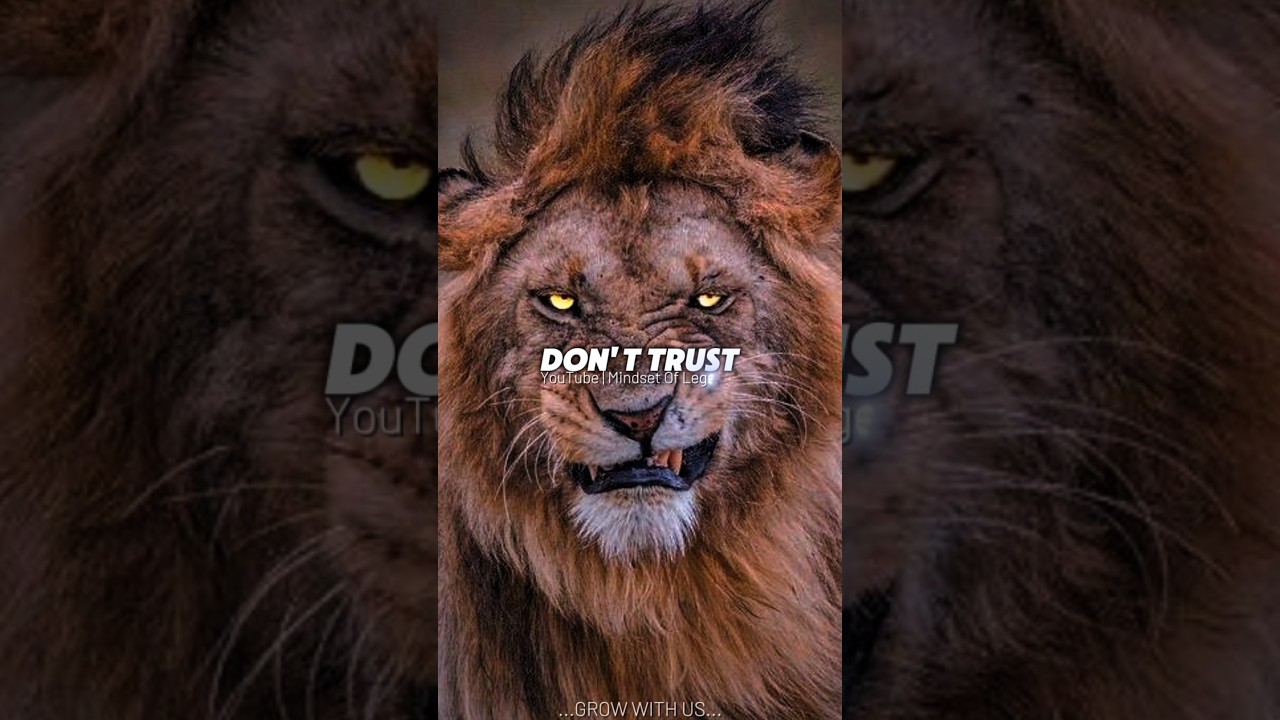 Don't Hit My Ego 😡 ~Sigma Rules 😈 