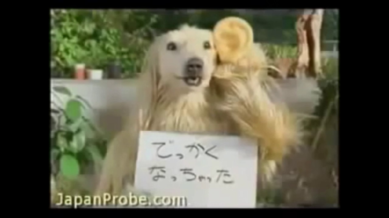 Top 5 anuncios raros y perturbadores