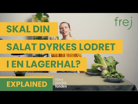 Skal din salat dyrkes lodret i en lagerhal? Tænketanken Frej