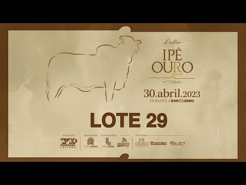 LOTE 29 GLDJ 140