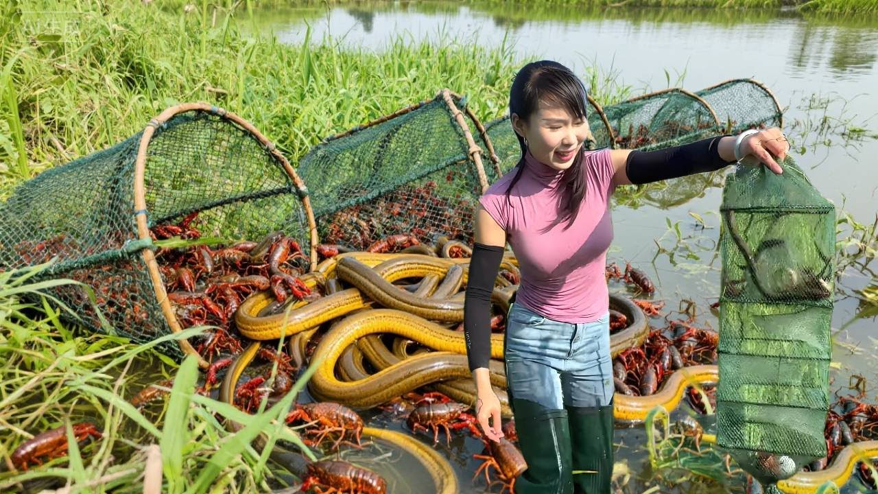 有大哥花1000包了美女50个地笼的收货，能赚多少？！【文杰吖】