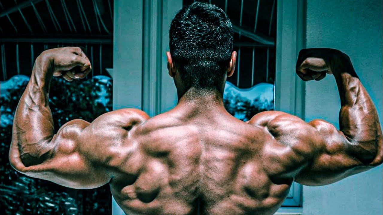 Bodybuilder gym workout 🔥 || Muscle2trend 