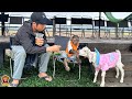 Dad takes yoyo jr and bebe to the coffee shop