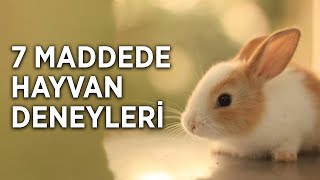 Deney Mi, İşkence Mi? 7 Maddede Hayvan Deneyleri