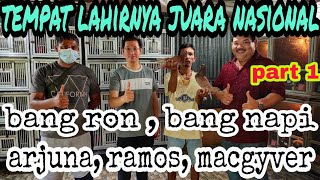 National champion sprint racing pigeons Bang Ron, Bang Napi, MacGyver, Ramos, Arjuna were born here