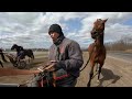 Brett Pelling | White Birch Farm | Ustrotting.com