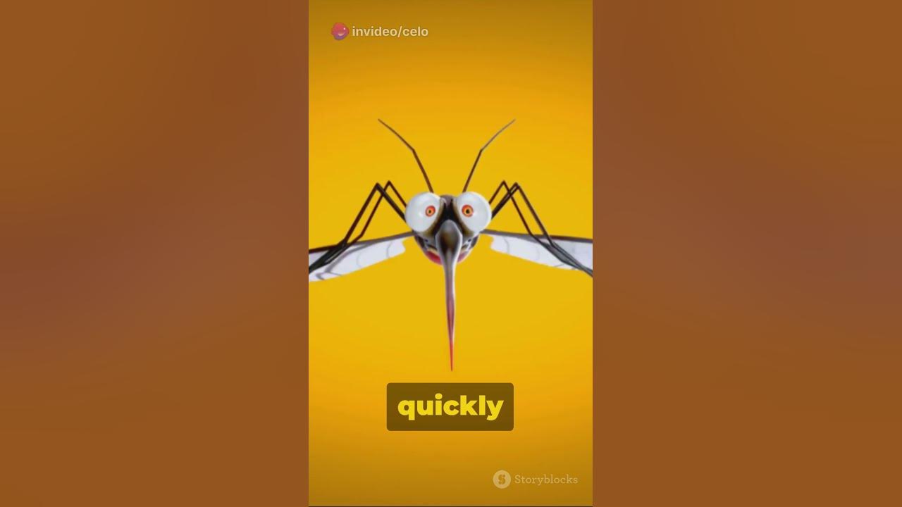 What Would Happen If All Mosquitoes Died? YouTube