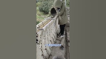 Cement railing construction method,railing mold mold manufacturer,rural self-built house mold design