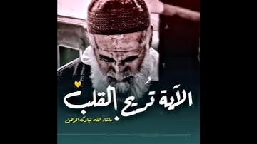 حالات واتس اب تلاوة خاشعة القارئ ناصر القطامي 🎧 💛