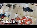 Gary Goldfish & Art Day ║ Hang Out with This Homeschool Mom of 9 │ School Week 9