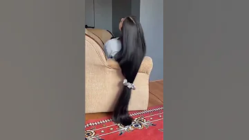 شعر طويل وكثيف وصفةلتطويل الشعربسرعة Shorts 