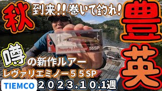 【豊英ダム】2023/10/1週 　【TIEMCOレヴァリエミノー】秋到来！横の動きで魚を釣り上げろ！