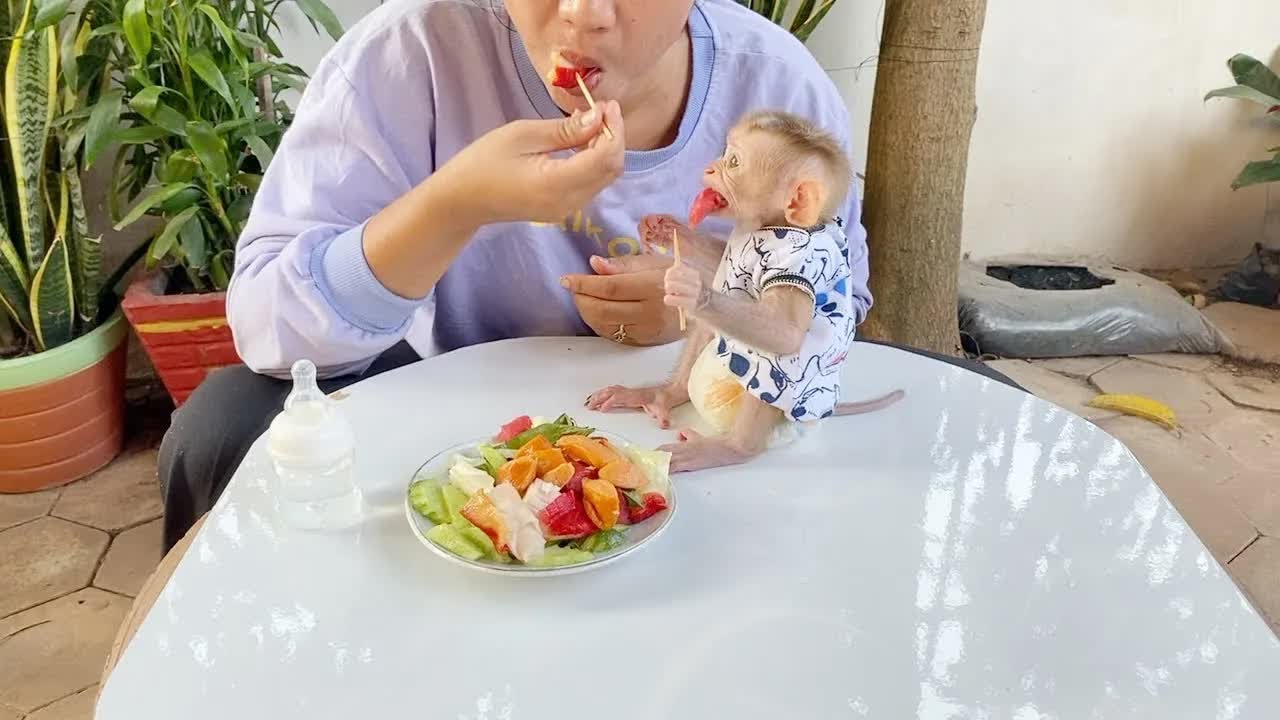 Clever DAM Join Eating Look So Yummy food