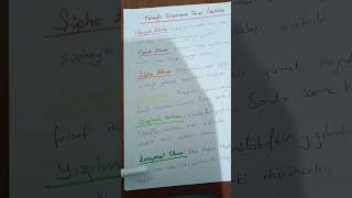 Felsefi Düşüncenin Özellikleri