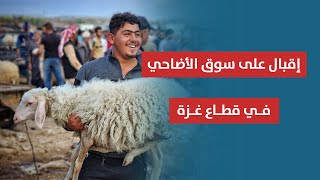 شاهد || إقبال على سوق المواشي بغزة مع قرب عيد الأضحى المبارك