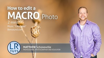 The Art of Editing in Lightroom: Creative Macro DOF
