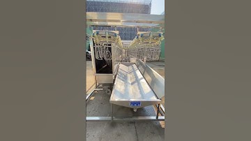 Precision and Automation Redefined: Eruis Compact Slaughter Line