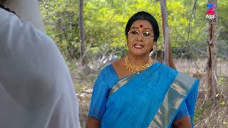 Naagini - ನಾಗಿಣಿ - Indian Kannada Story - EP 292 - Mar 28, '17 - #zeekannada TV Serial - Webisode