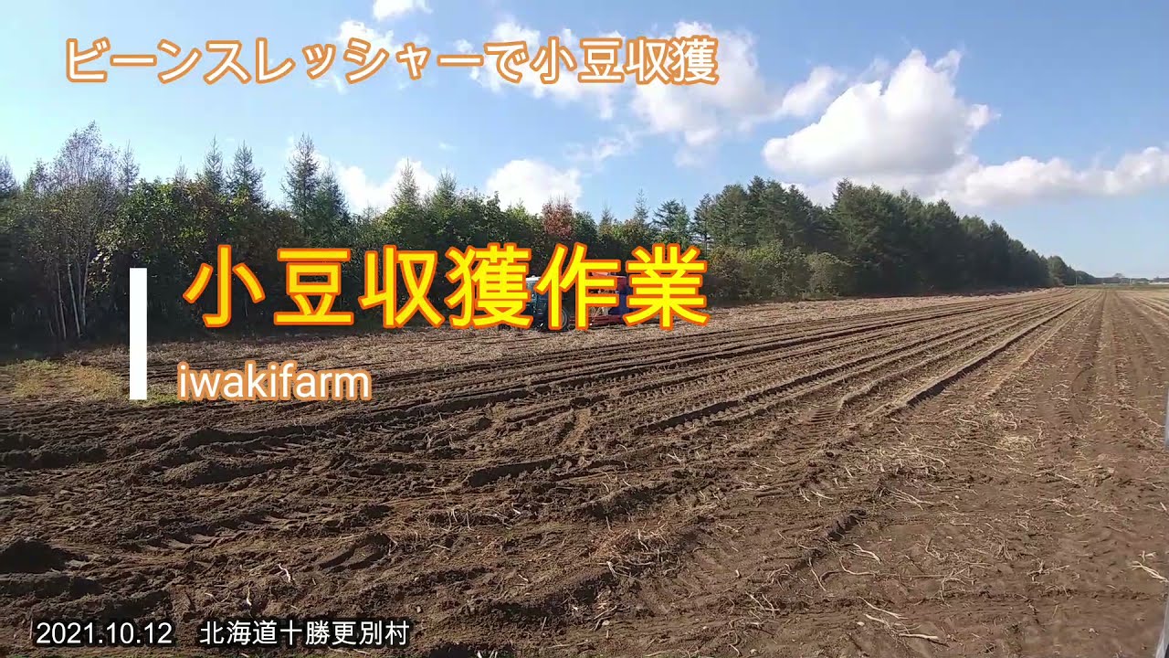小豆収獲 Ford6600dq2wd サカエ製ビーンスレッシャーで収獲作業 農業 トラクター ビーンスレッシャー 小豆 Youtube 小豆収獲 Ford6600dq2wd サカエ製ビーンスレッシャーで収獲作業 農業 トラクター ビーンスレッシャー 小豆 Youtube
