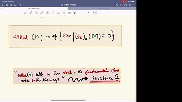 Facundo Mémoli: Vietoris-Rips Persistent Homology, Injective Metric Spaces, and The Filling Radius