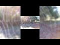 الخاشع الباكي المنشاوي أقرا