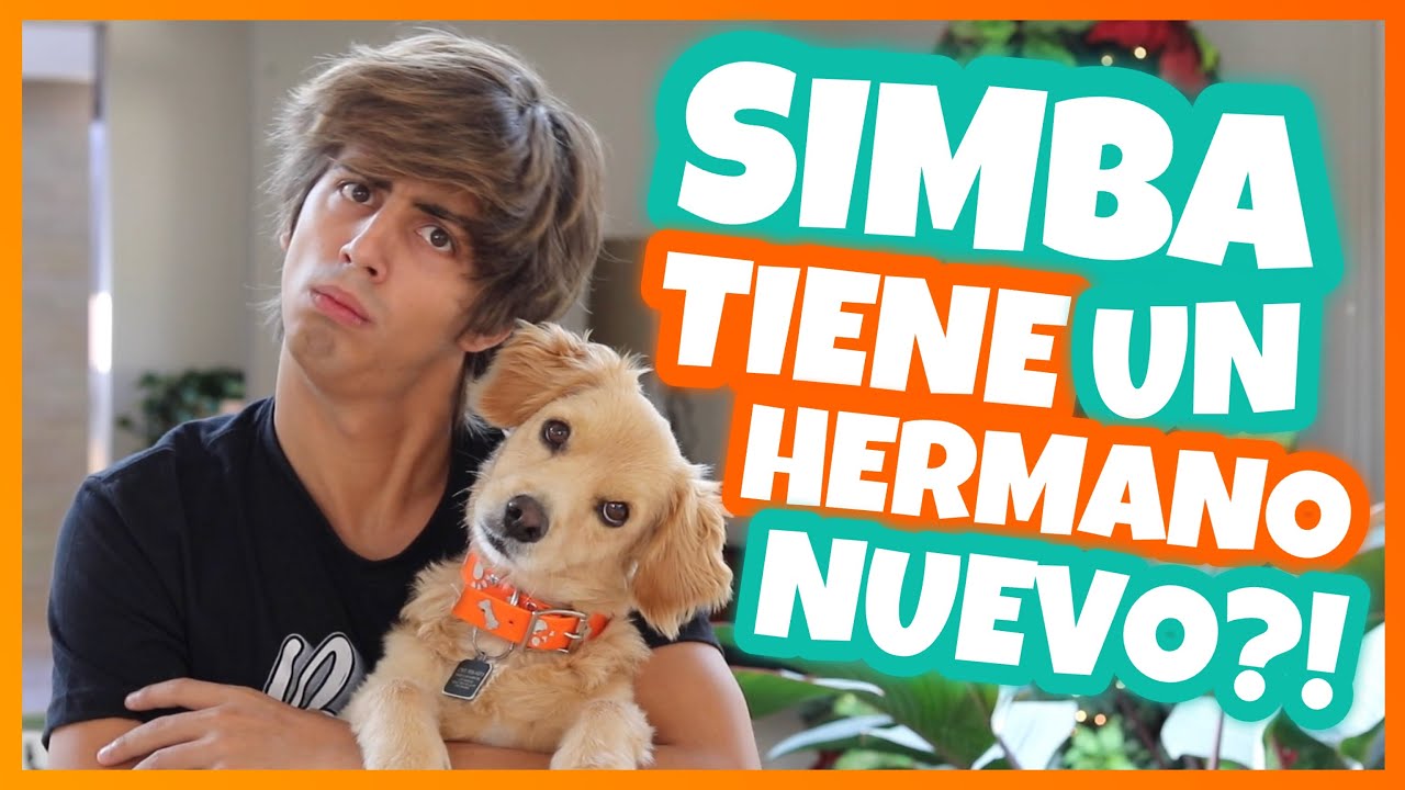 Daniel El Travieso - Hay Una Nueva Mascota En Casa.
