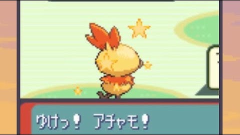 Live Shiny Torchic after 146 Srs!! (Sapphire DTQ #1)