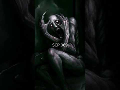 اخطر مخلوقات منظمة 