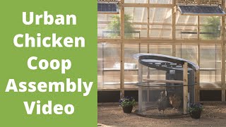 How to Build the Urban Chicken Coop | Roost & Root
