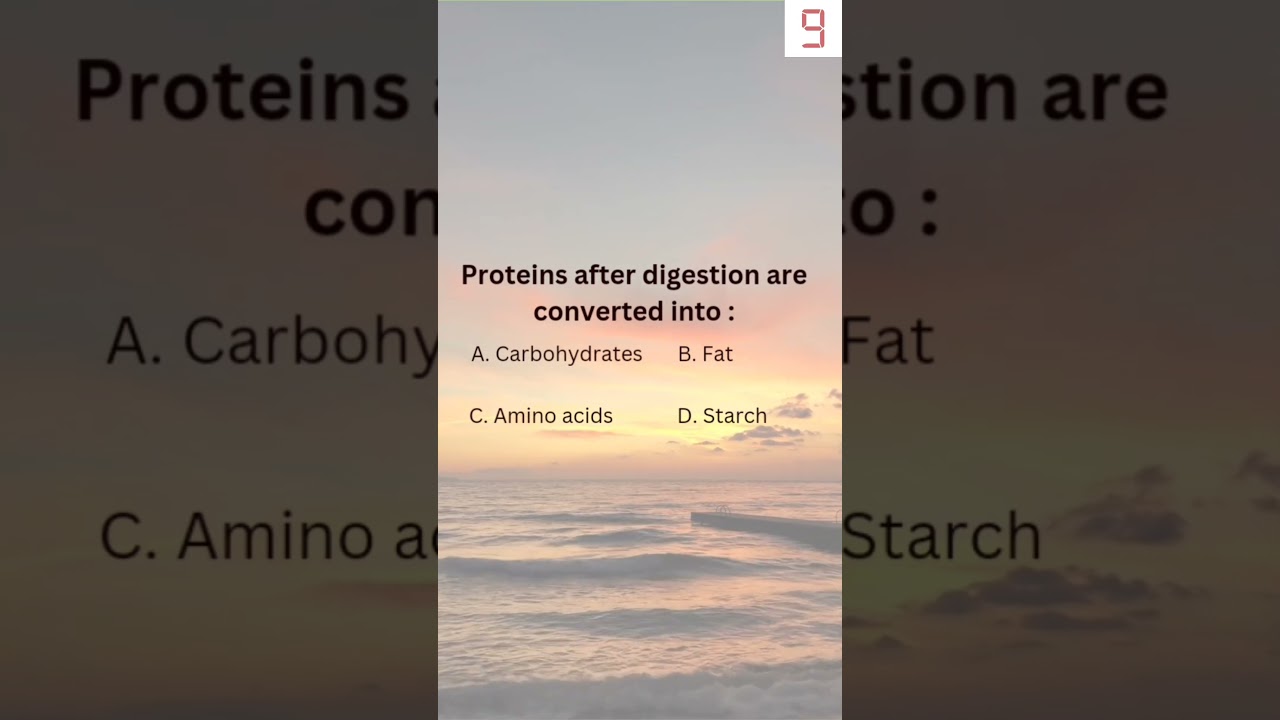 Digestive System Quiz - 4 