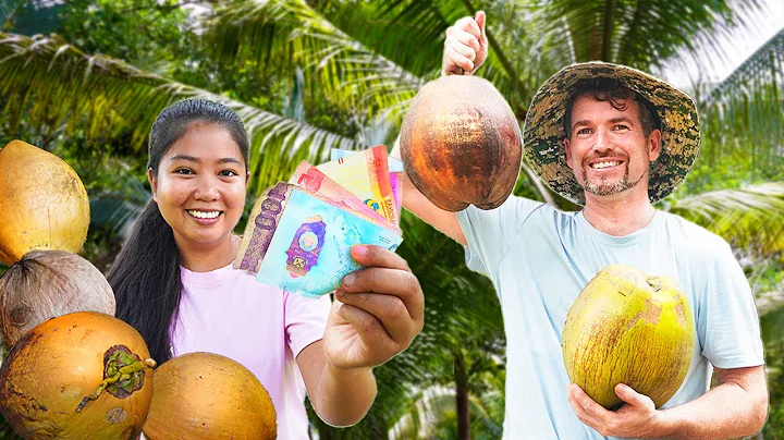 FIRST INCOME FROM OUR COCONUT FARM IN THE PHILIPPINES | ISLAND LIFE