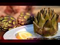 استخدامات 🥗 الخرشوف  💐 في الطب البديل