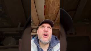 3 gołębie z oddziału 066 ‼️ #gołębie #gołębiepocztowe #hodowcagołębi #poszukiwania