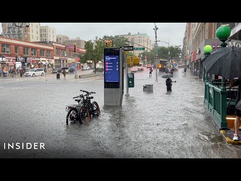 Video: Skillnaden Mellan Flash Flood Och Riverine Flood