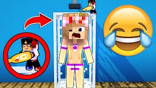 видео: Я УМЕНЬШИЛСЯ И ЗАТРОЛЛИЛ ДЕВУШКУ в МАЙНКРАФТ НУБ И ПРО ВИДЕО ТРОЛЛИНГ MINECRAFT картинка: Я УМЕНЬШИЛСЯ И ЗАТРОЛЛИЛ ДЕВУШКУ в МАЙНКРАФТ НУБ И ПРО ВИДЕО ТРОЛЛИНГ MINECRAFT