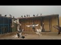 Safeer khan ke beautiful pigeon 
