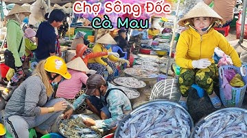 Chợ Cửa Biển Sông Đốc Vựa Hải Sản tươi sống giá rẻ lớn nhất Cà Mau/chợ quê miền tây