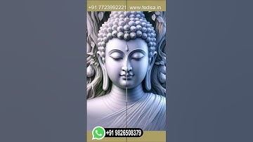 Room Divider Screen Room Separator Room Divider Doors Panel Divider