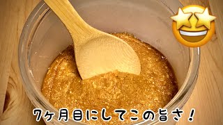 [ドイツ生活30年]手作り味噌　仕込んでから7ヶ月目　ご報告 / Miso selbst herstellen „7 Monate nach der Herstellung“