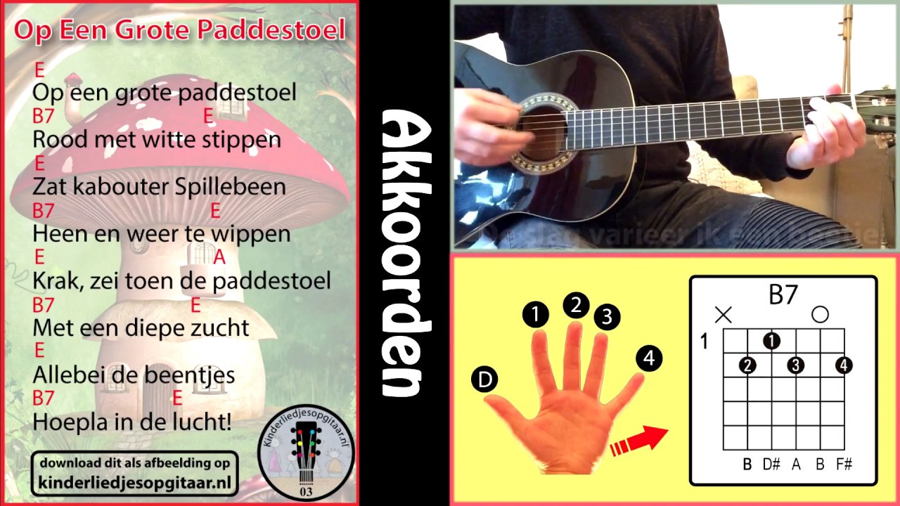 Op Een Grote Paddestoel op gitaar - akkoorden & tekst + TABS! - YouTube