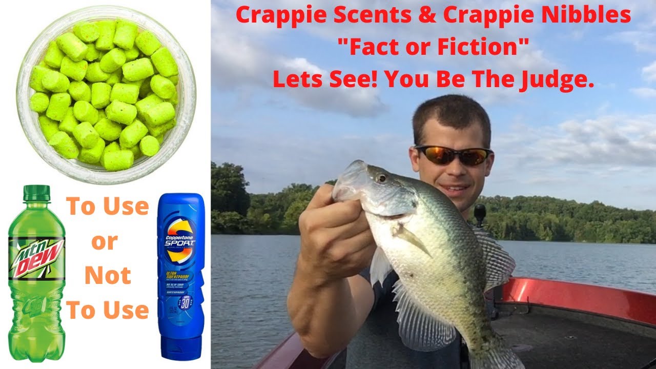 Do They Really Work Crappie Nibbles & Scents Lets See 
