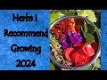 Herbs i recommend to grow or stock 2024