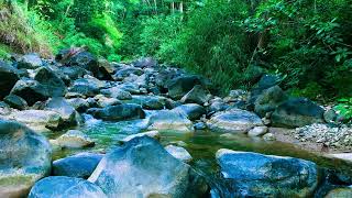 relaxing sound river forest, the sound of flowing water to relieve stress,insomnia,therapy&study