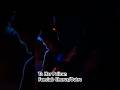 To Her Pelican Fanclub &ndash; Guitar Chorus &amp; Outro Cover | J-Rock Lead Guitar
