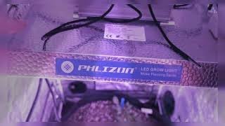Phlizon Quantum LED 600w - Review - 2*2 Grow Tent Light