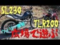 納車したので広場で遊んできました【バイクで遊ぶ】